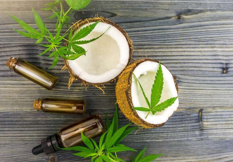 Fresh coconuts with marijuana leaves and bottles