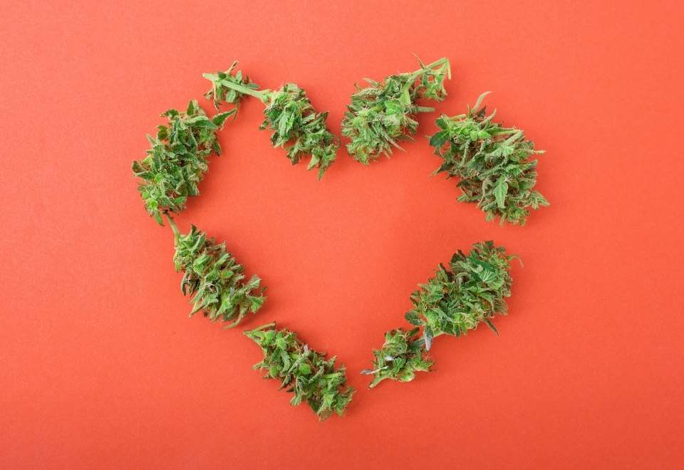Cannabis flowers in a heart shape