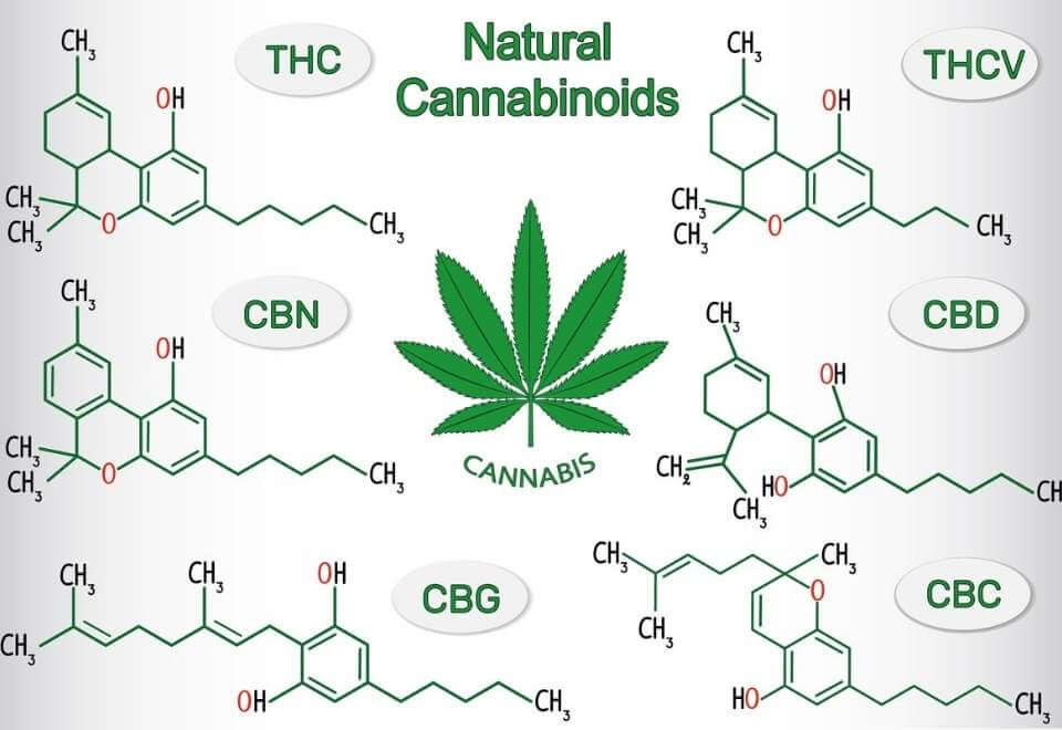 Different type of cannabinoids in marijuana