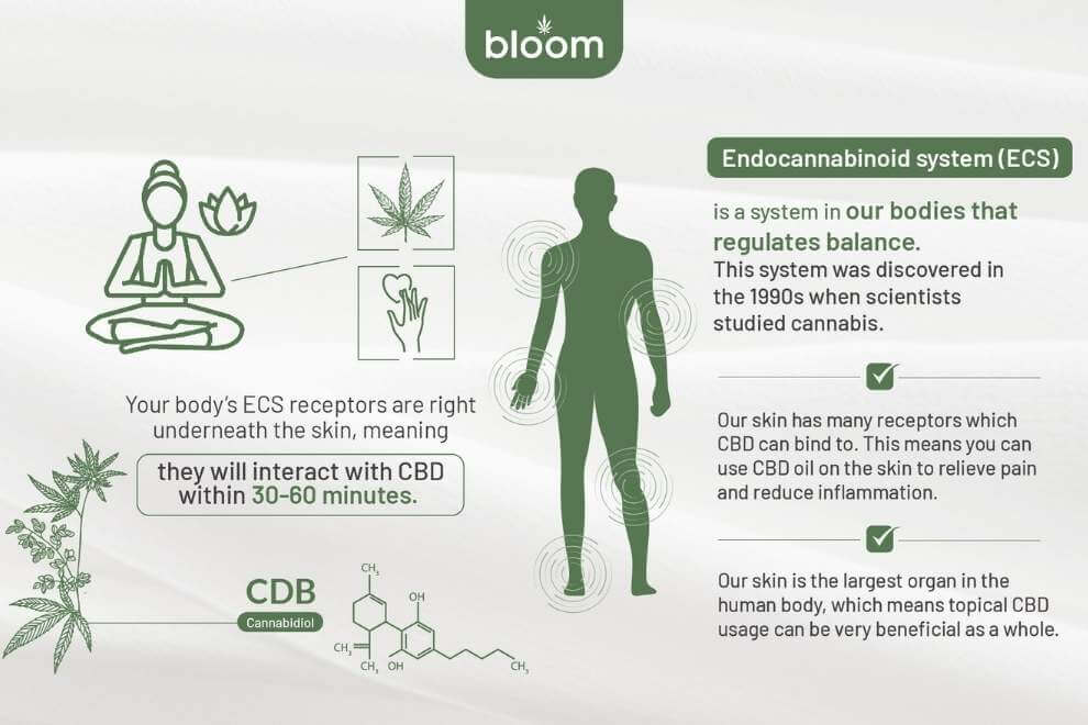 Infographic on topical CBD application