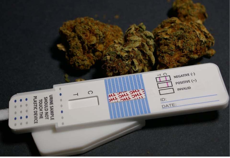 Drug test next to marijuana