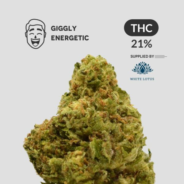 Laughing Buddha - Sativa - Giggly & Energetic