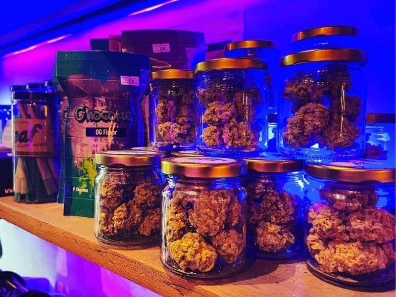 Sativa, Indica and Hybrid strains at Highland Café