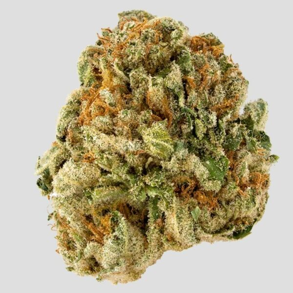 Super Critical - Hybrid - Relaxed & Hungry