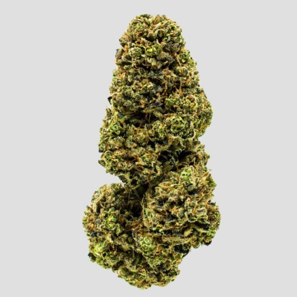 Photo of dinamed strain