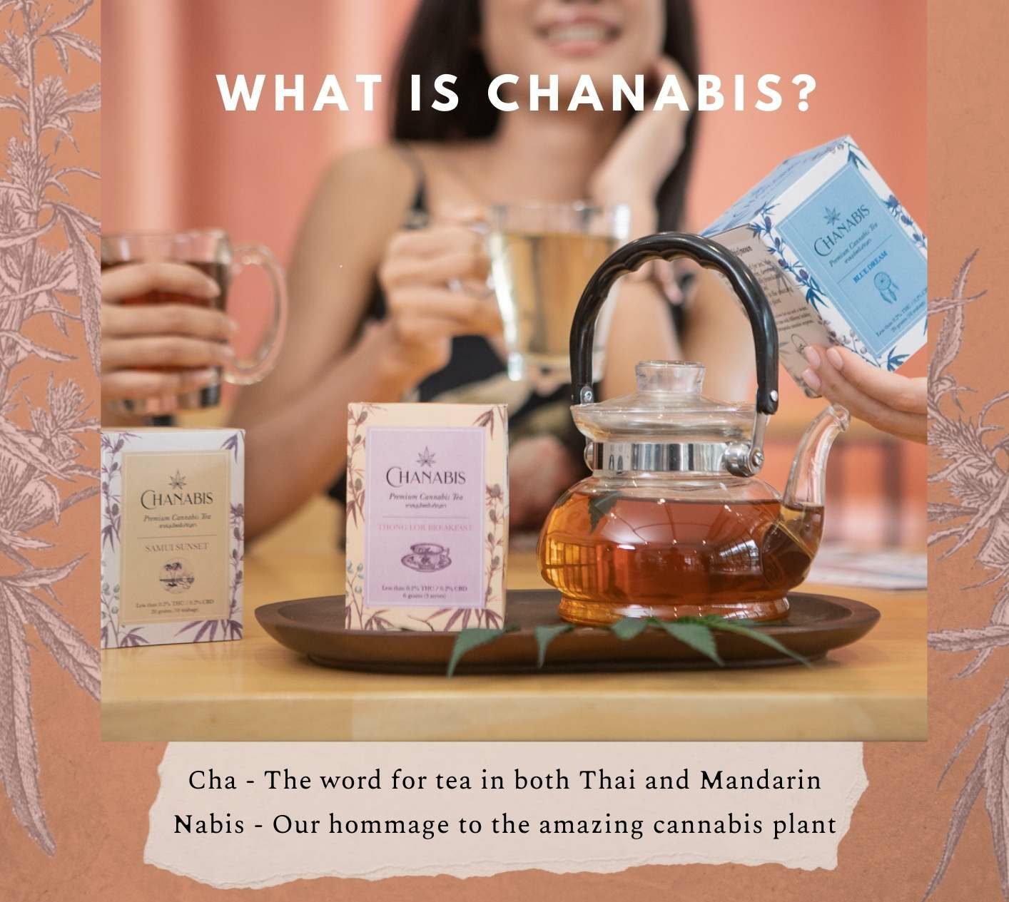 ชากัญชง - Chanabis Tea - รส ทองหล่อเบรคฟาส