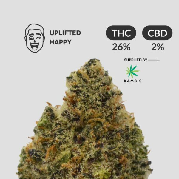 Mandarin Cookies Hyrbid Strain Product Photo Uplifted Happy Effects 26% THC Content