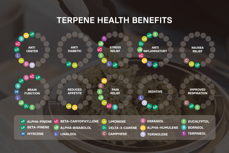 Different benefits of cannabis terpenes