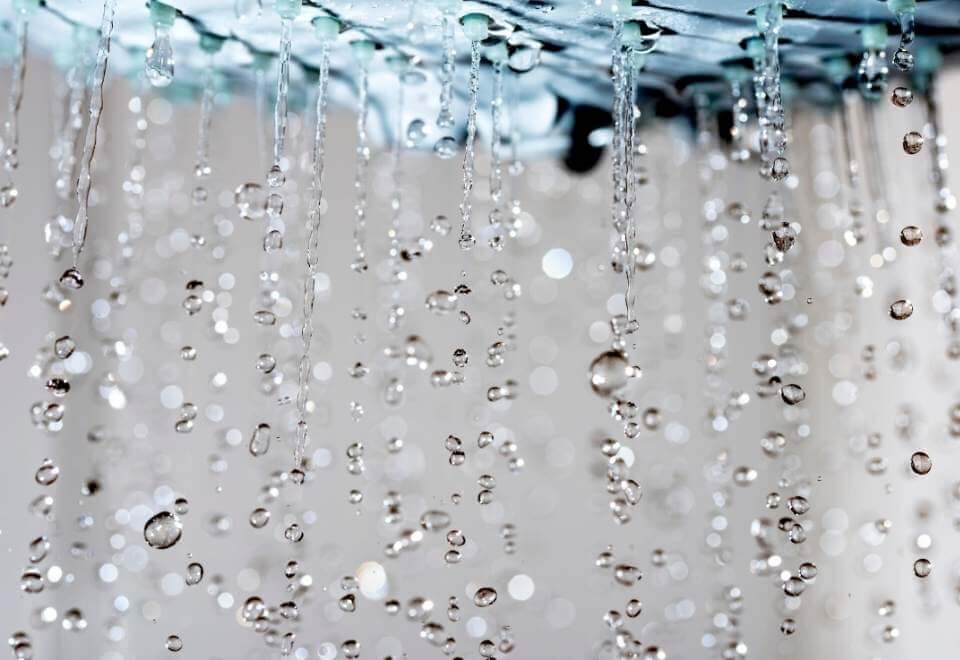 Water from shower head