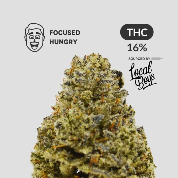 Cluster Bomb Indica Product Photo FOCUSED HUNGRY 16% THC