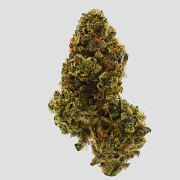 Jack Herer Close up photo of Flower