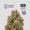 Peyote Gorilla Indica Strain 16.5% THC Euphoric Sedative