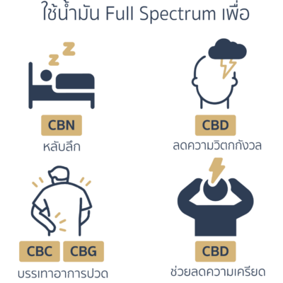 SEYA Full Spectrum CBD Oil - Effects Graphics TH
