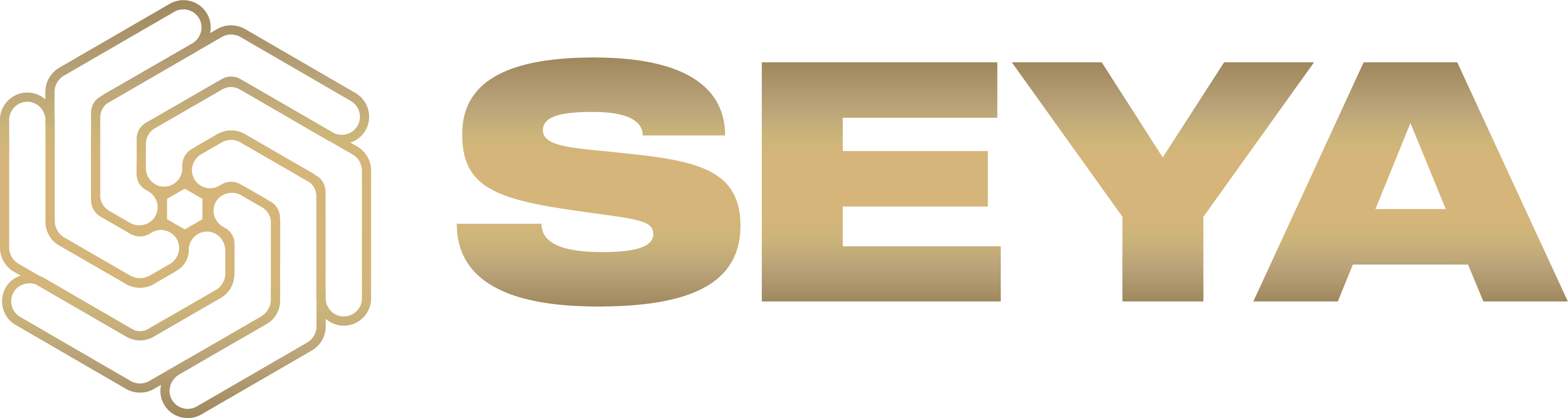 SEYA Logo IG S